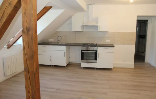 Location Strasbourg Appartement 6914ba8a00a1