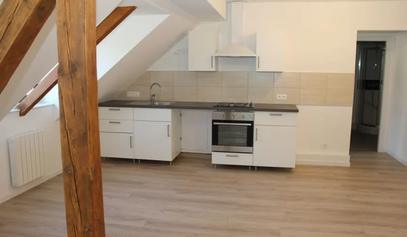Location Strasbourg Appartement 6914ba8a00a1