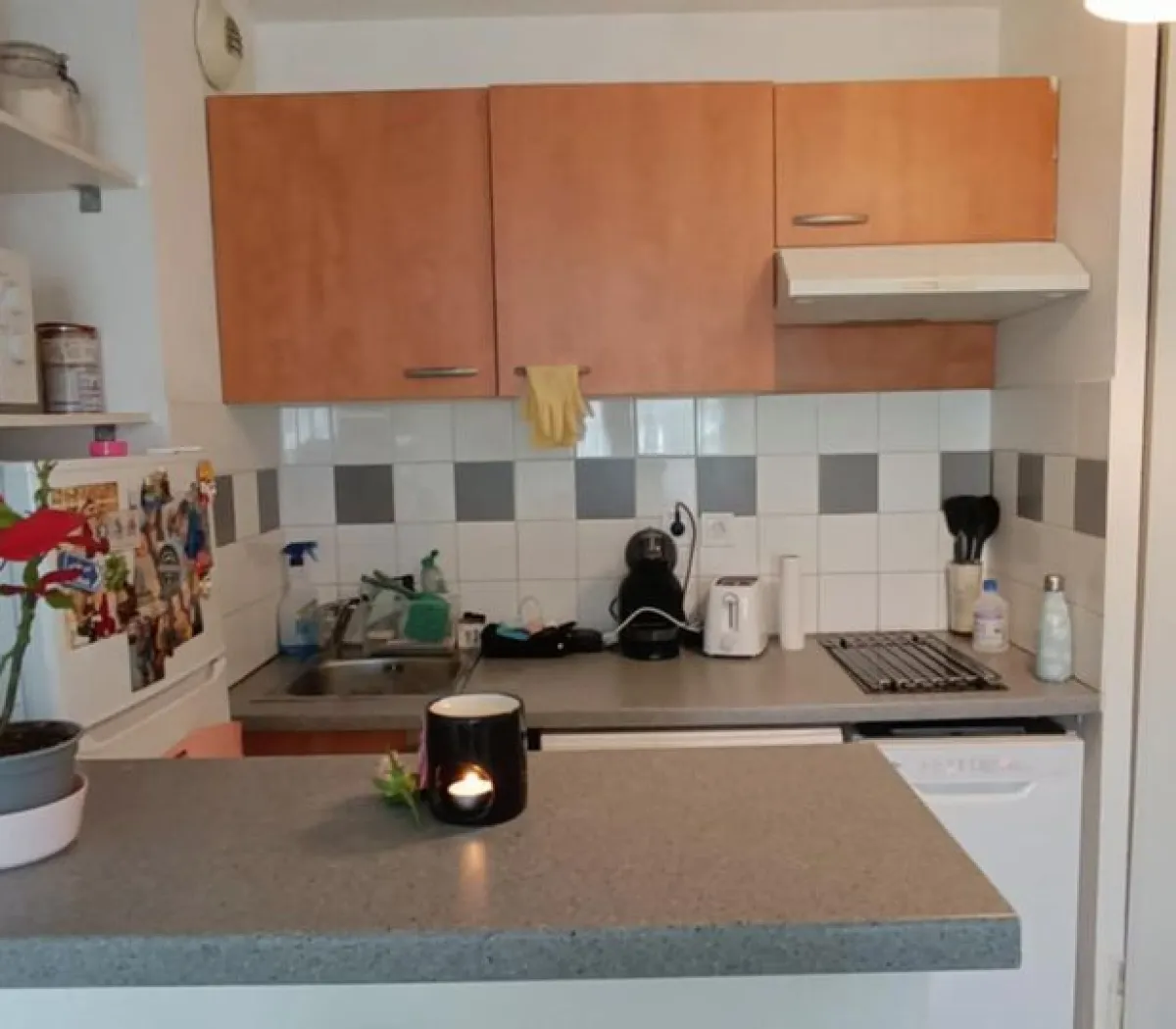 Location Bègles Appartement 69152335c42d