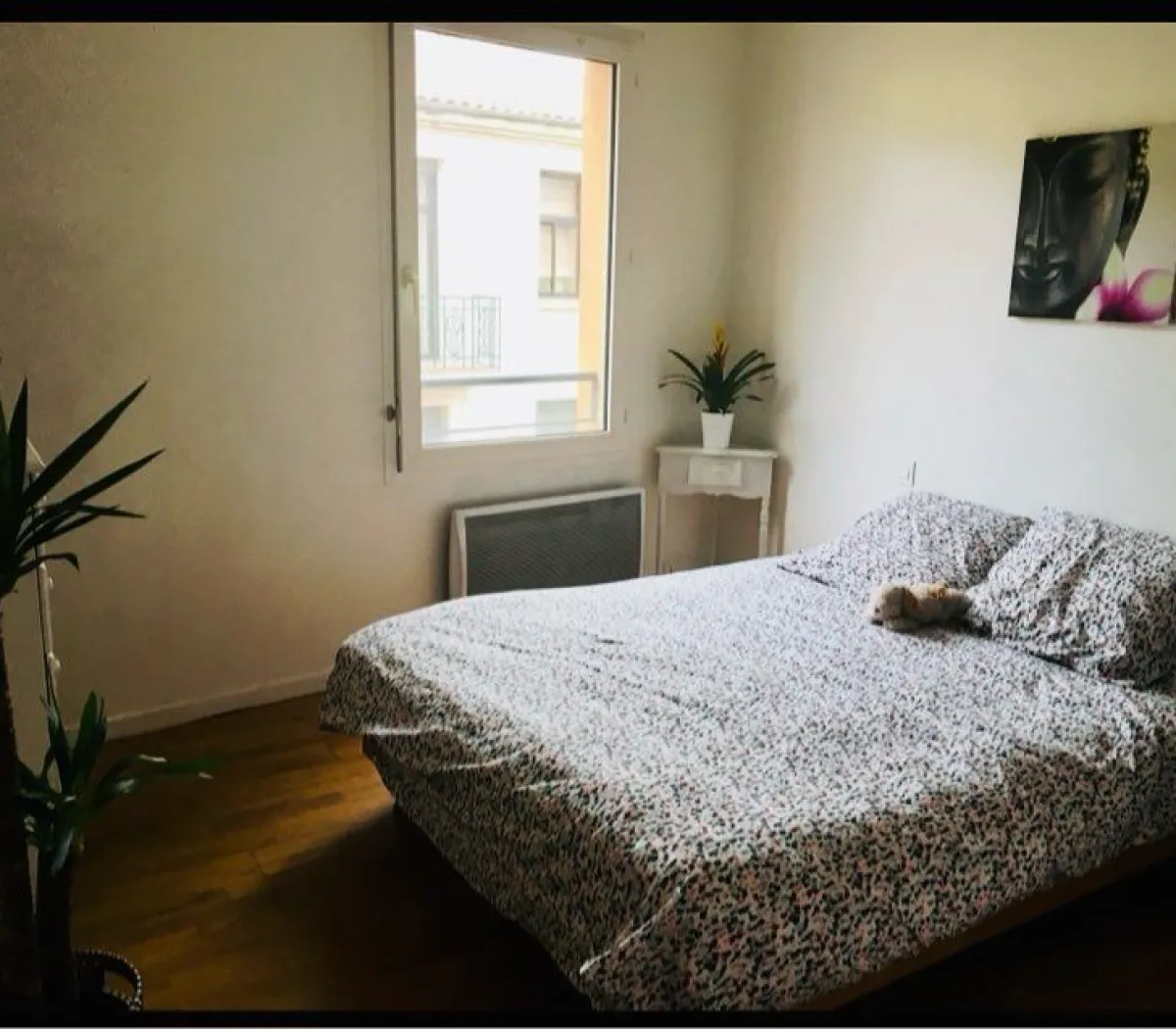 Location Toulouse Appartement 691526fc7a79