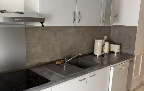 Location Lyon Appartement 691a36ba4327