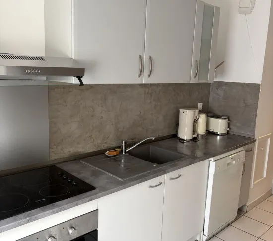 Location Lyon Appartement 691a36ba4327