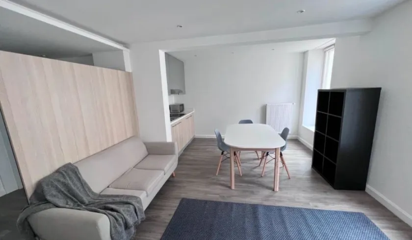 Location Nancy Appartement 691afc54eb51