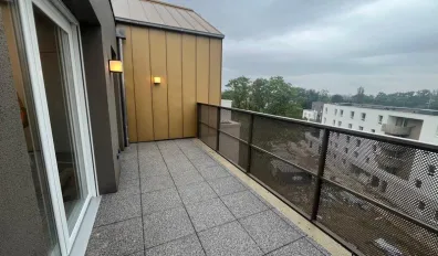 Location Strasbourg Appartement 691b03bba355