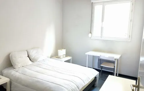 Location Lyon Appartement 691b4333bad2