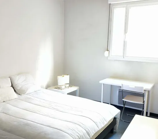 Location Lyon Appartement 691b4333bad2