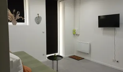 Location Roanne Appartement 691c3d613333