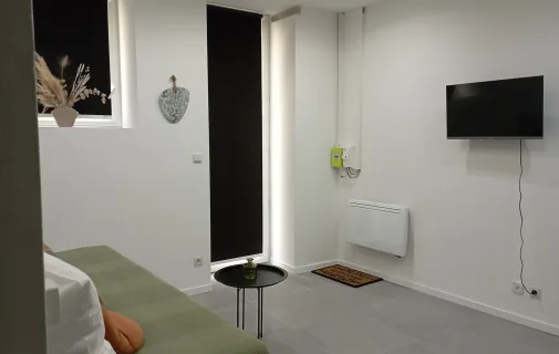 Location Roanne Appartement 691c3d613333