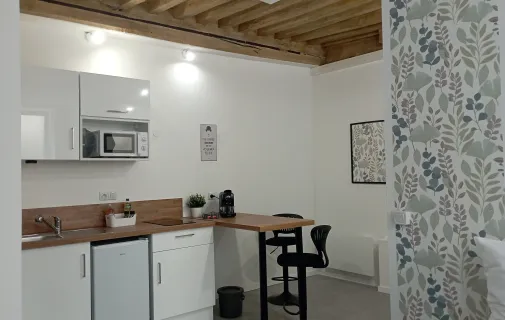 Location Roanne Appartement 691c3d613333