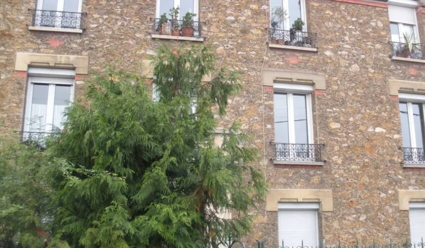 Location Champigny-sur-Marne Appartement 691c4c52ea22