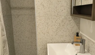 Location Schiltigheim Appartement 691ceddccb4c