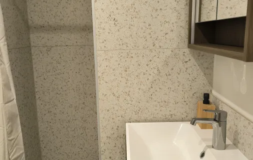 Location Schiltigheim Appartement 691ceddccb4c