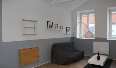 Location Lille Appartement 691cf7e2af22