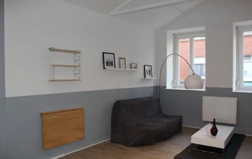 Location Lille Appartement 691cf7e2af22