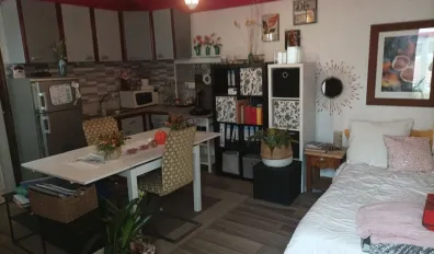 Location Roubaix Appartement 691cfc47f40b