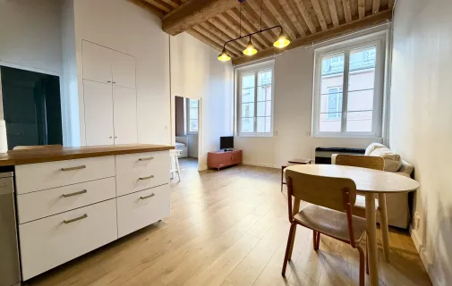 Location Lyon Appartement 691d7d60cdc6