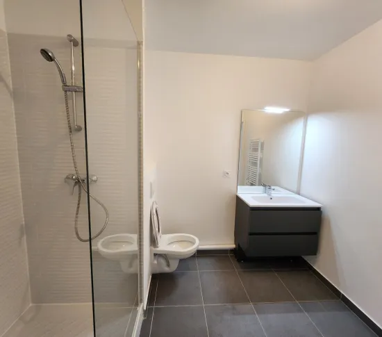 Location Saint-Denis Appartement 691db63331a3