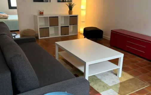 Location Toulouse Appartement 691e1a49aa1d