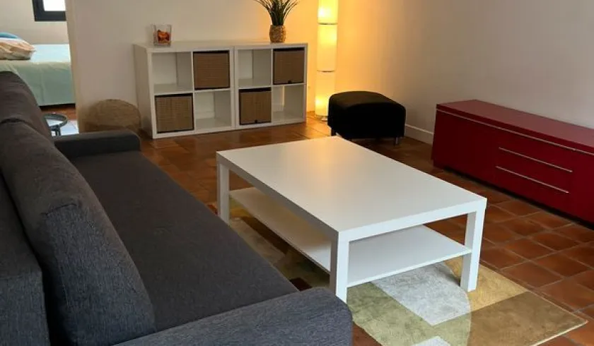 Location Toulouse Appartement 691e1a49aa1d