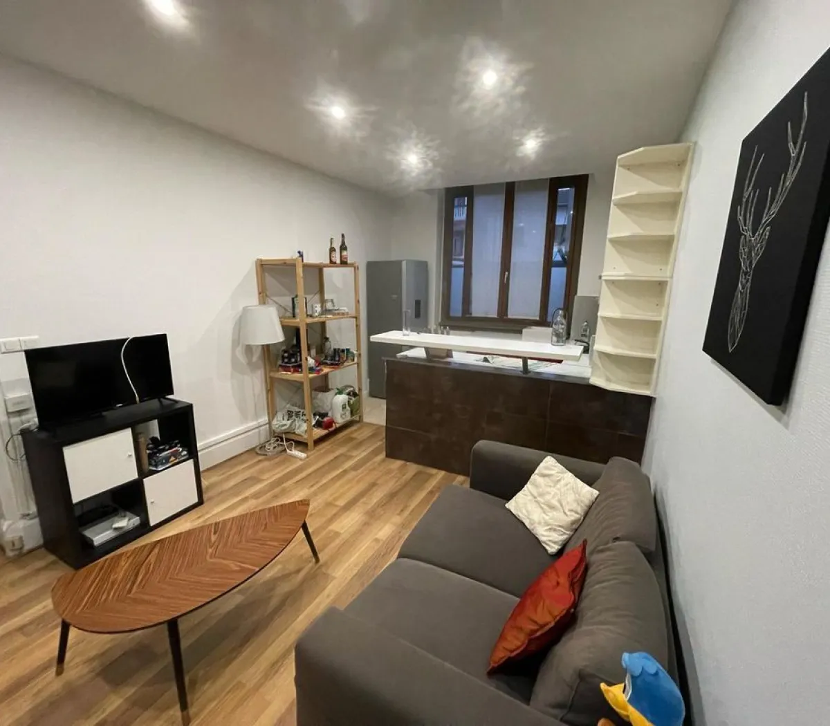 Location Lyon Appartement 691e1d2706ca