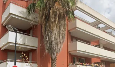 Location Lunel Appartement 691ef72325f4