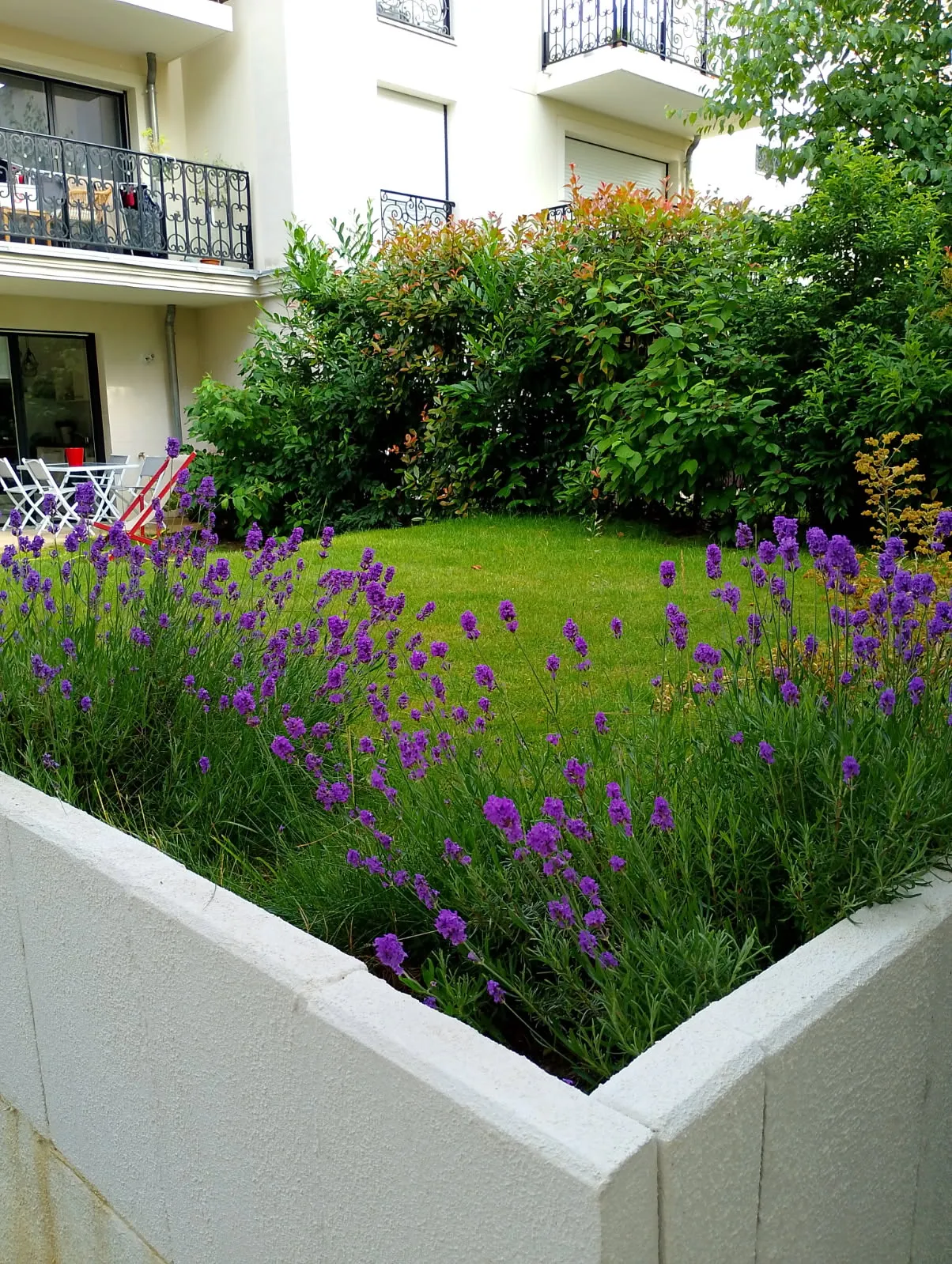 Location Clamart Appartement 691f0c603a77