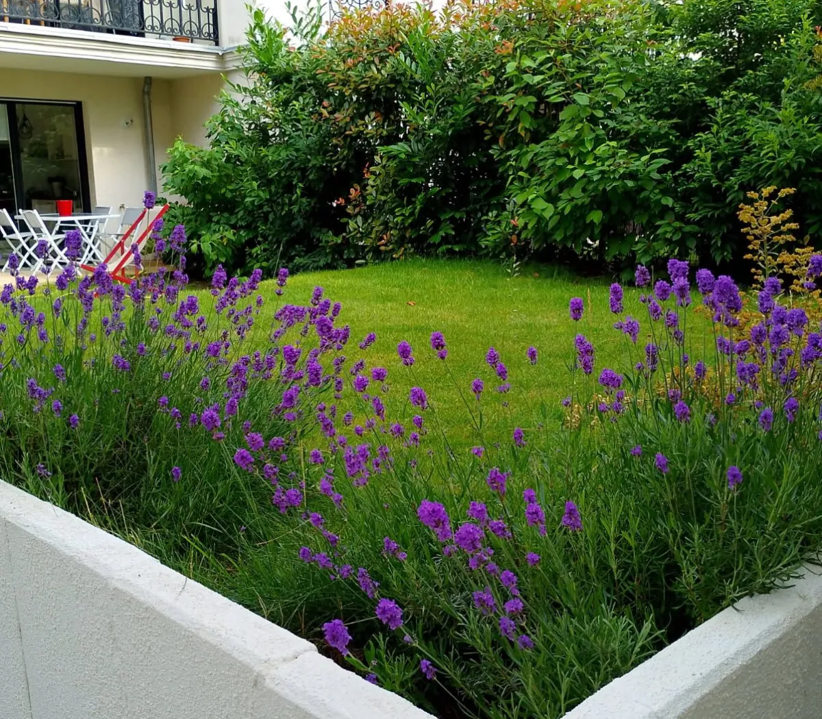 Location Clamart Appartement 691f0c603a77