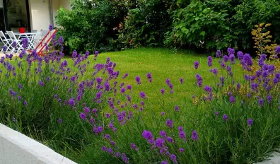 Location Clamart Appartement 691f0c603a77