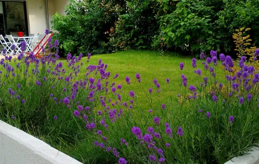 Location Clamart Appartement 691f0c603a77