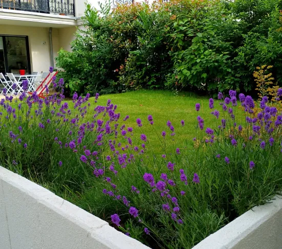 Location Clamart Appartement 691f0c603a77