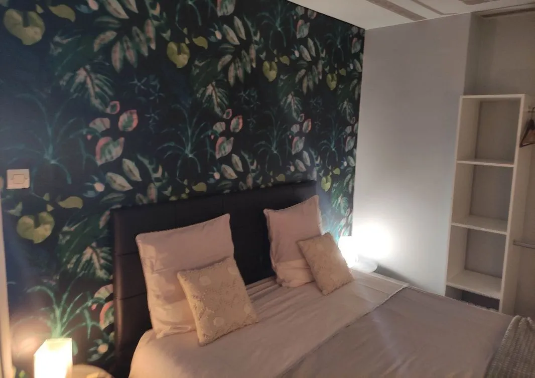 Location Nancy Appartement 692830a5bf25