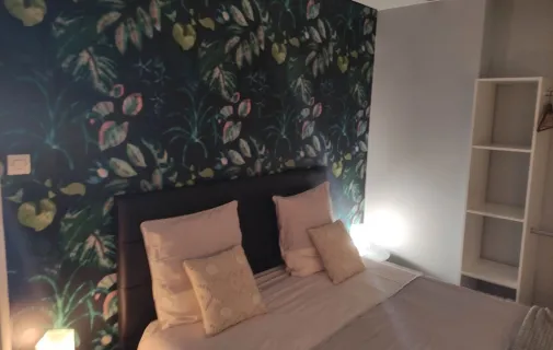 Location Nancy Appartement 692830a5bf25