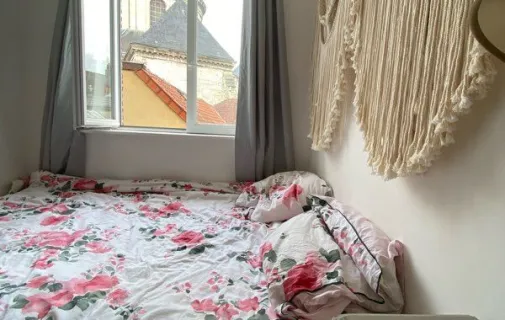 Location Lille Appartement 6929887a30af