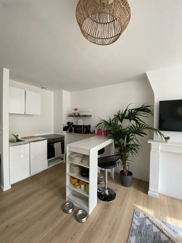 Location Lille Appartement 6929887a30af