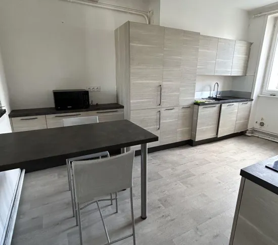 Location Brest Appartement 692aa39116942