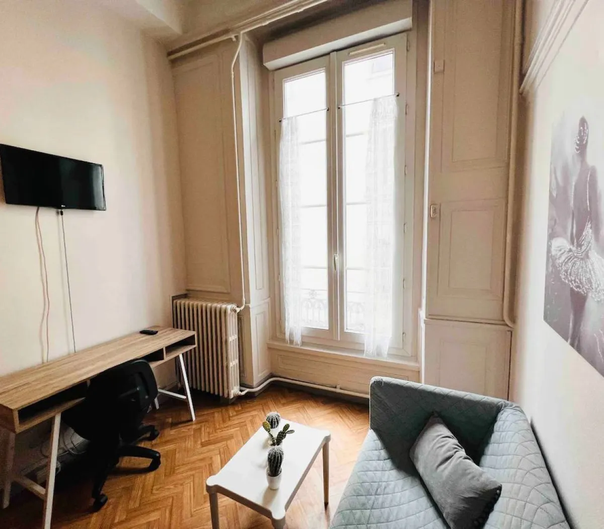 Location Lyon Appartement 692ecedc42a7