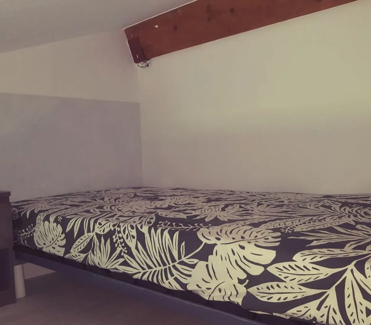 Location Toulouse Appartement 693251290330