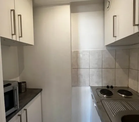 Location Strasbourg Appartement 693252741753