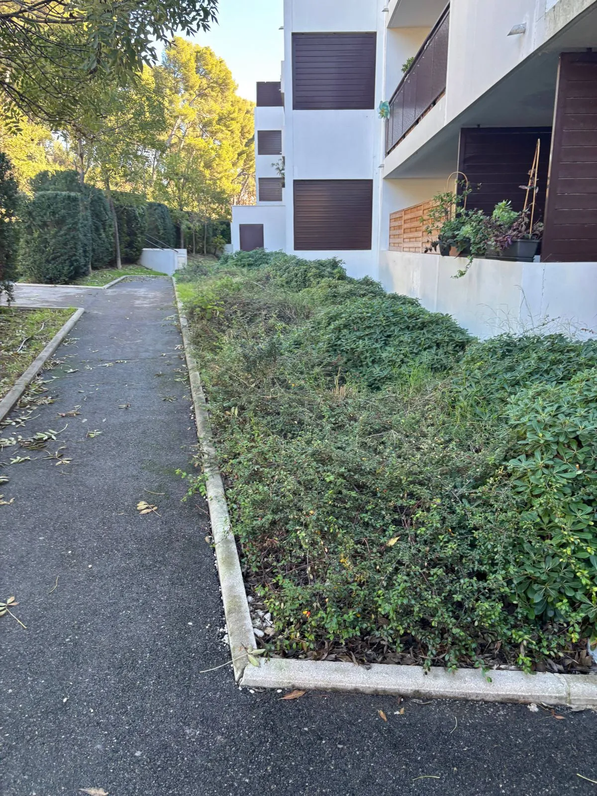 Location Marseille Appartement 69330cbc9d8e