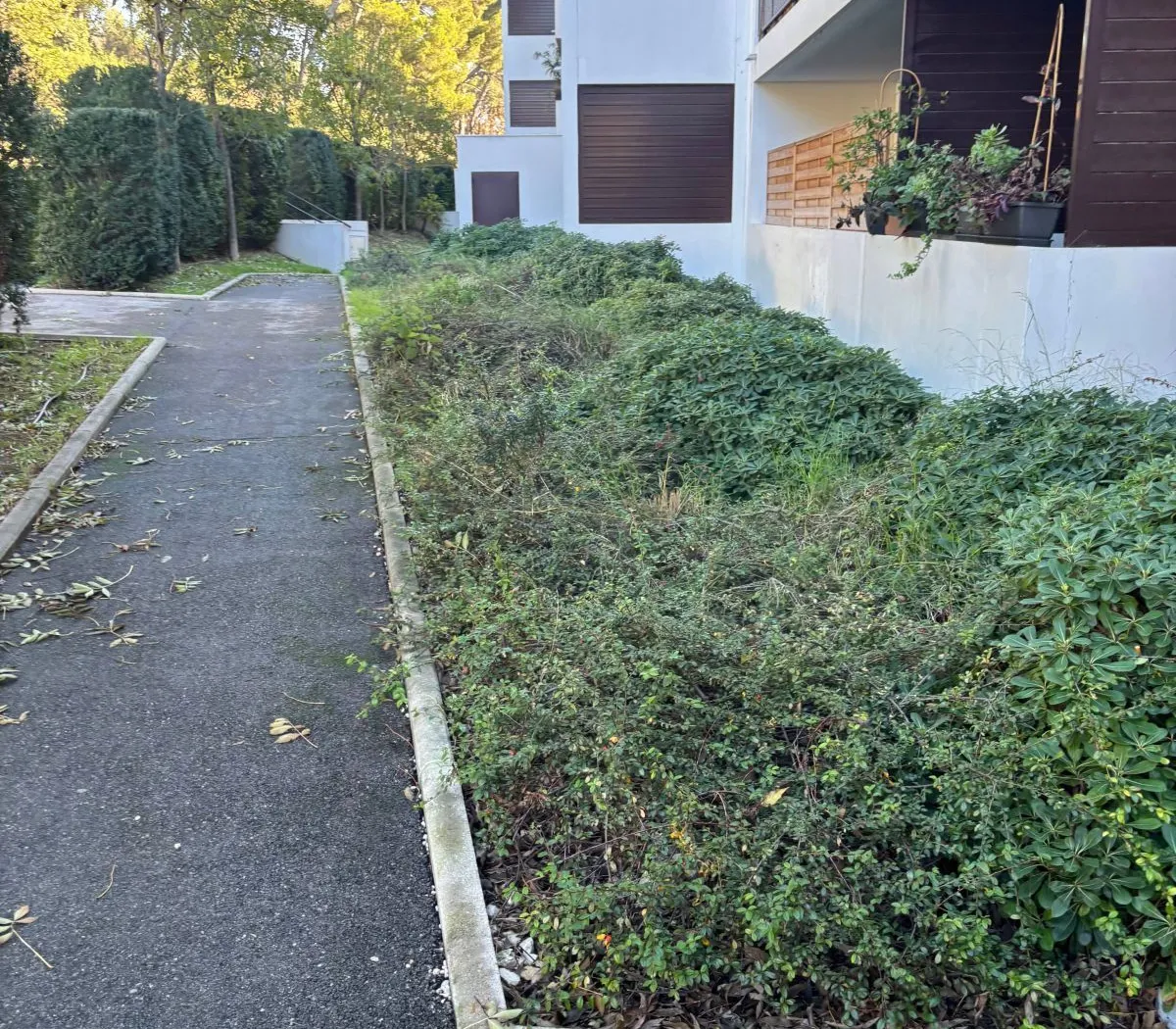 Location Marseille Appartement 69330cbc9d8e