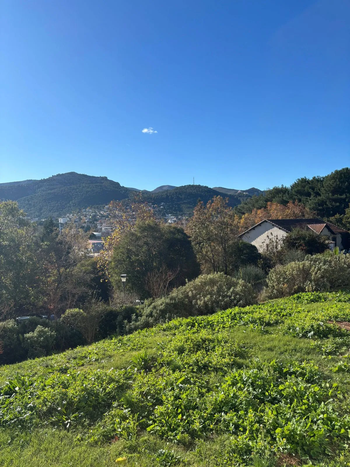 Location Marseille Appartement 69330cbc9d8e