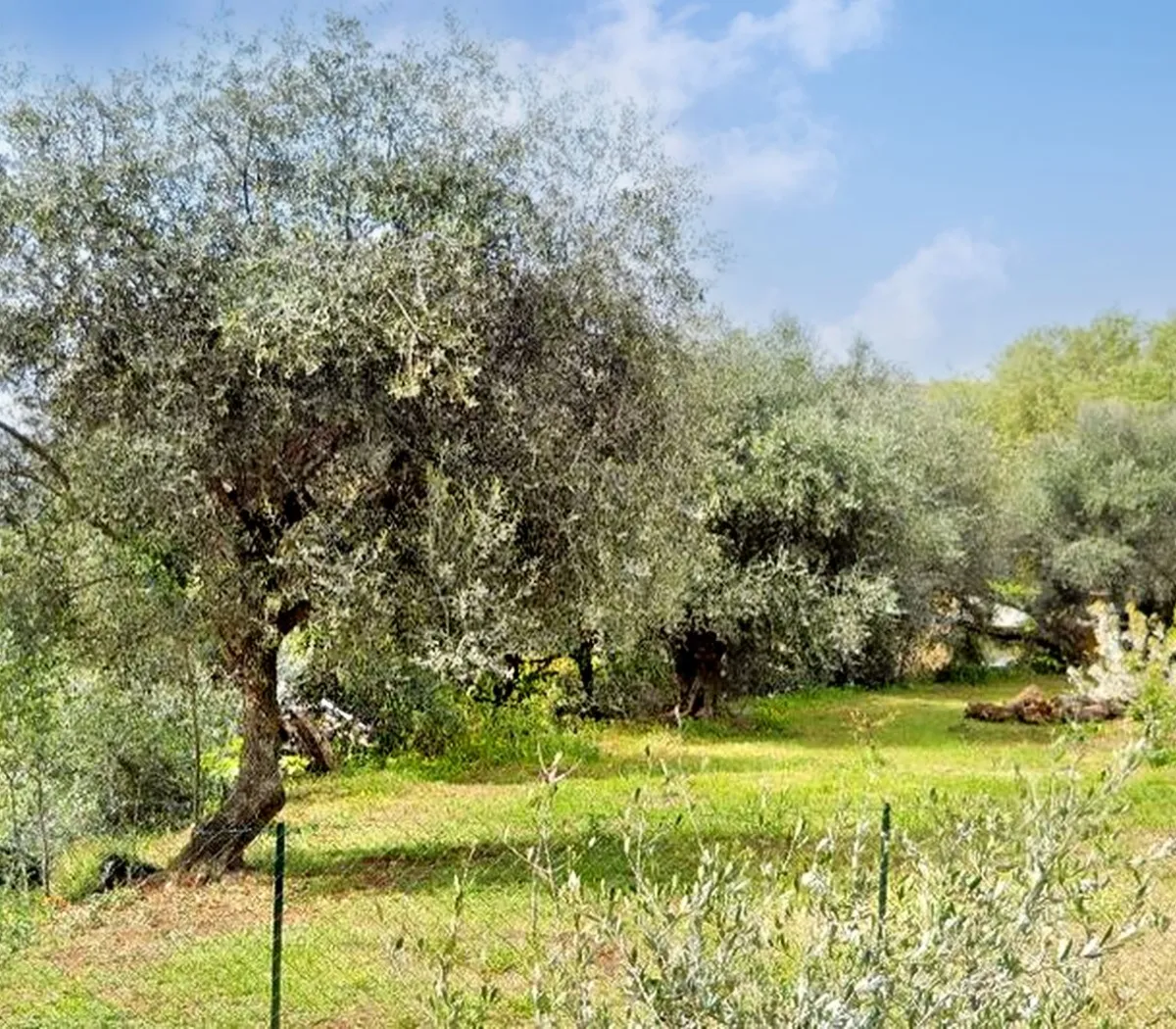 Location Nice Appartement 6933a93d