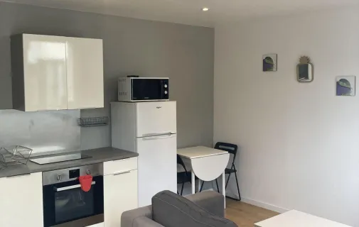 Location Lyon Appartement 693a91df069a