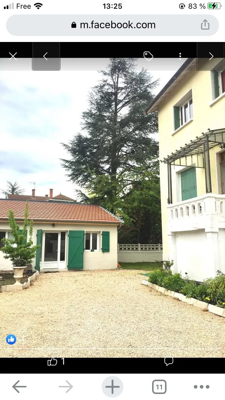 Location Lyon Appartement 693a91df069a