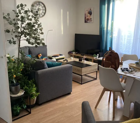 Location Limoges Appartement 693e69decea02