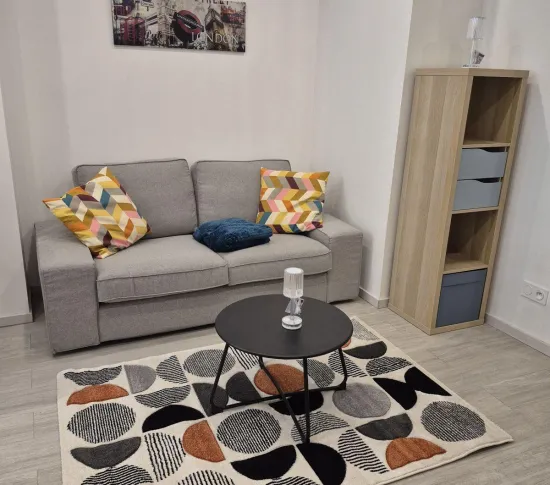 Location Grenoble Appartement 693ed09d061e3