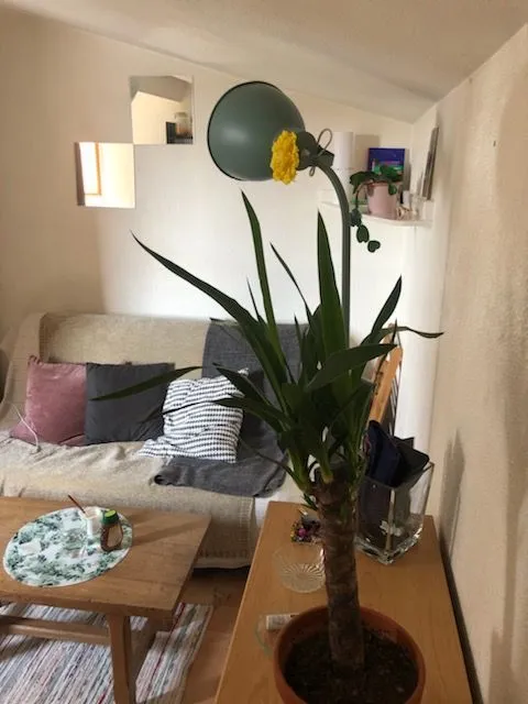 Location Bordeaux Appartement 693fc1bda97c1