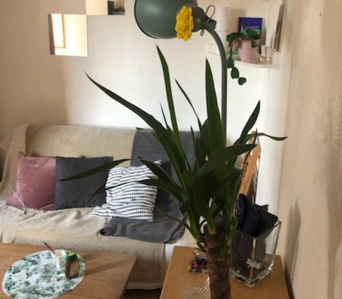 Location Bordeaux Appartement 693fc1bda97c