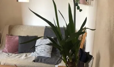 miniatureLocation Bordeaux Appartement 693fc1bda97c2