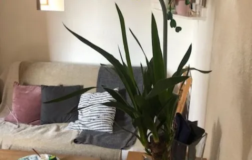 Location Bordeaux Appartement 693fc1bda97c